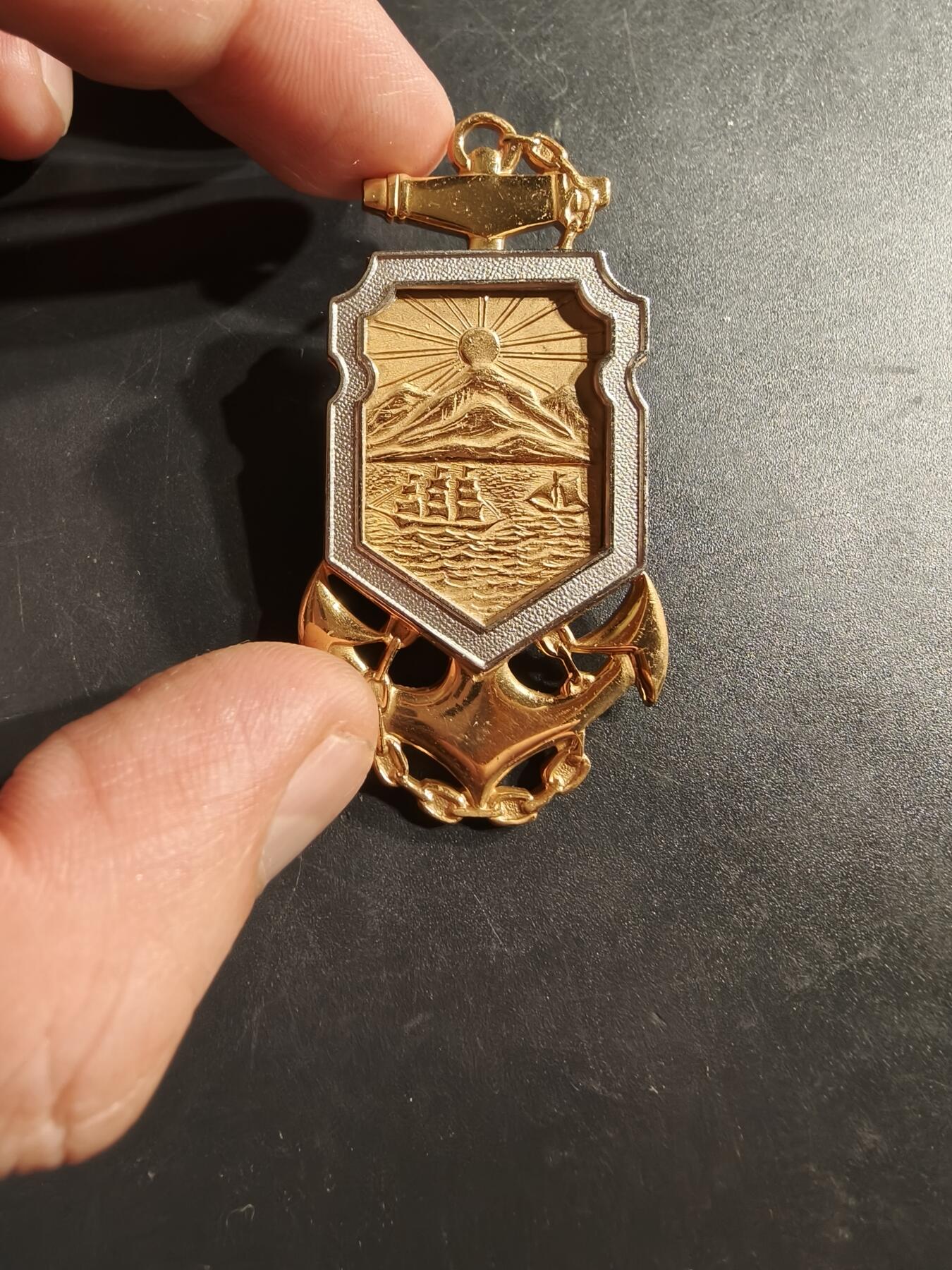 老王徽章第164期