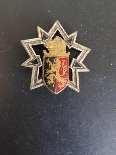 老王徽章第164期 -  法国陆军第3工兵团证章