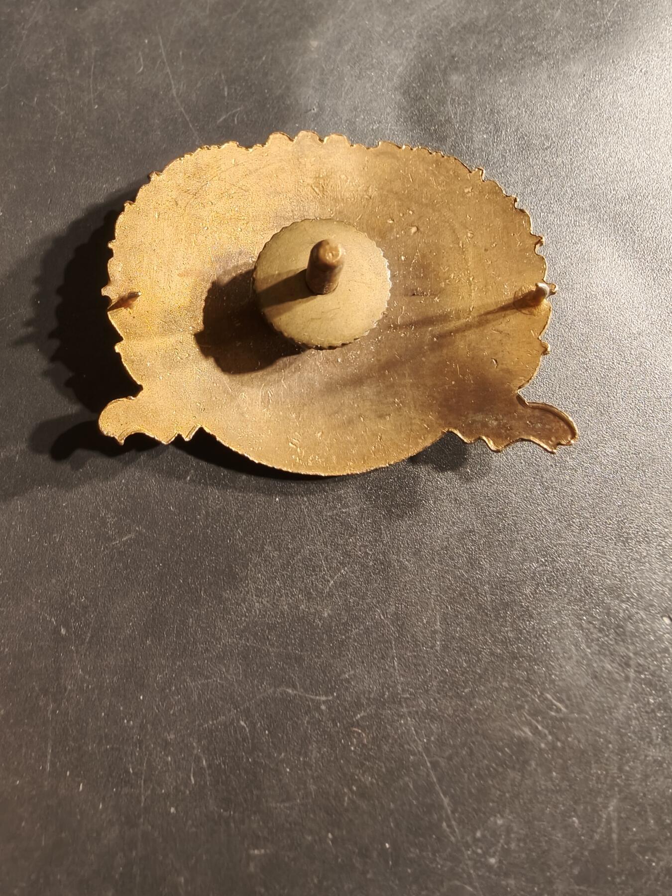 老王徽章第164期