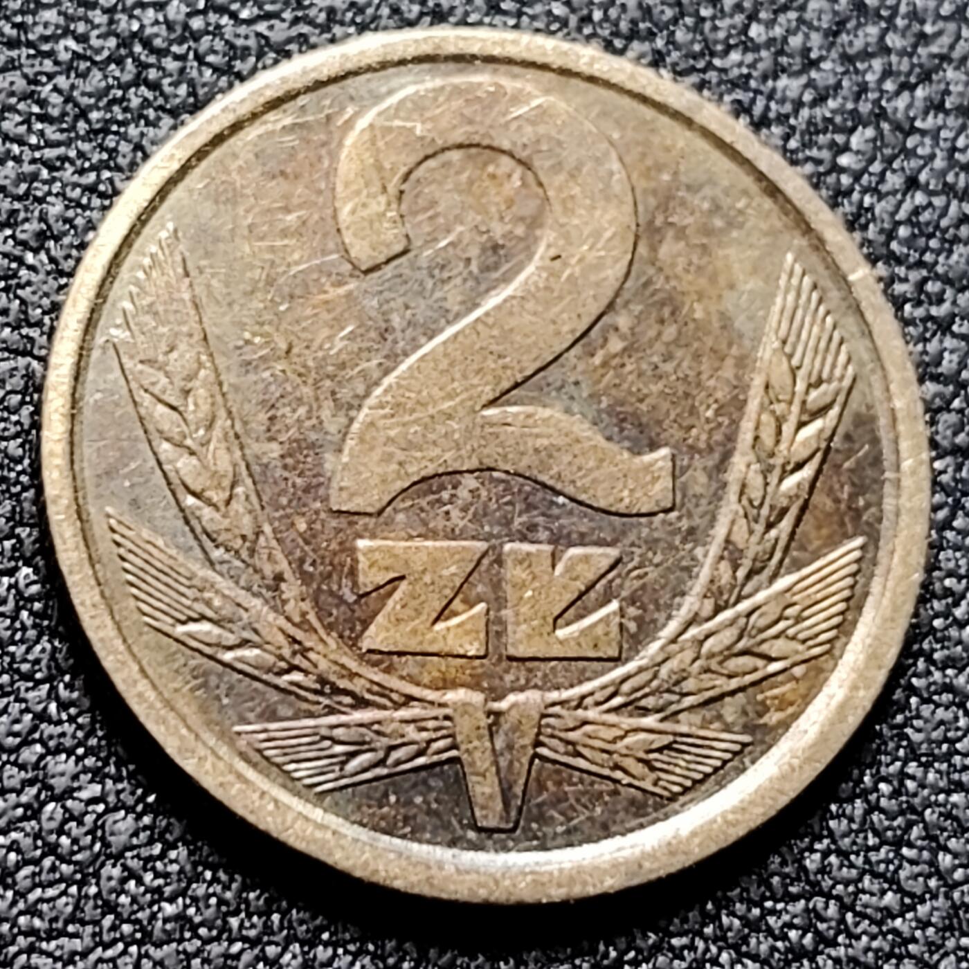 泉币菌-第133场-精品福利场 。