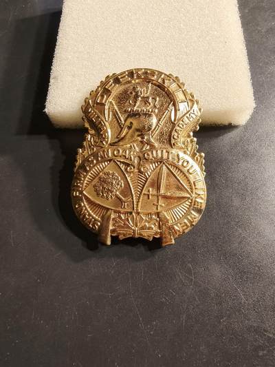 老王徽章第164期 - 美国佩斯基尔军事学院大檐帽帽徽 