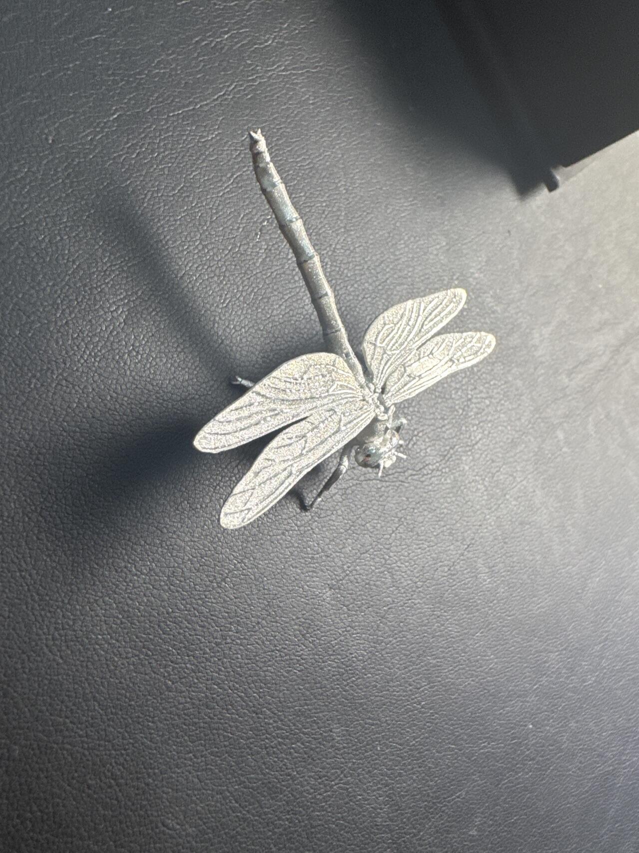 ❤️【币观天下】❤️ 第331期钱币拍卖- 2025.11.21周五晚上6点半场-长期征集拍品 喀麦隆2024年立体动物系列银币蜻蜓发行量333枚