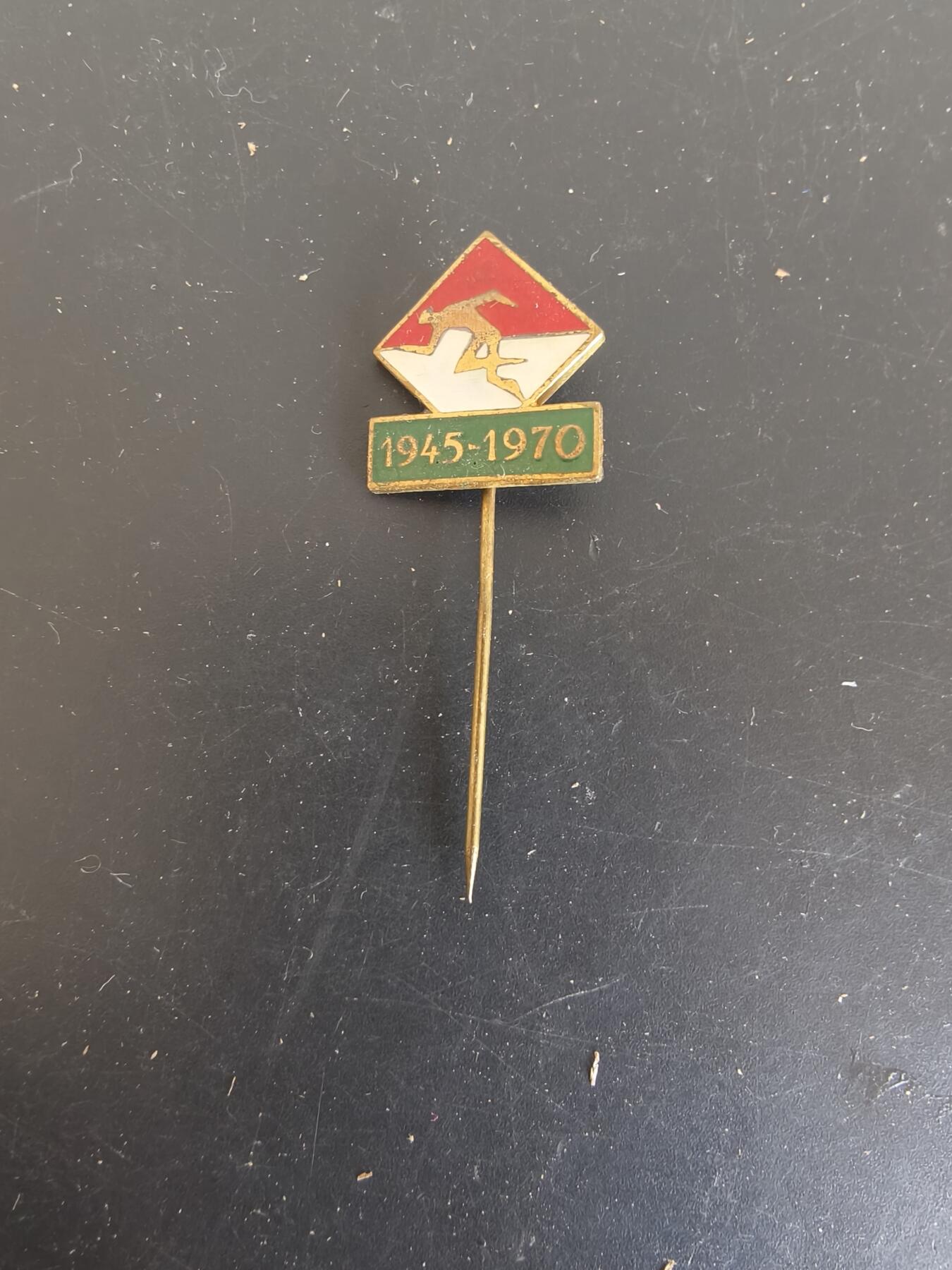 老王徽章第164期 波兰25周年针插 