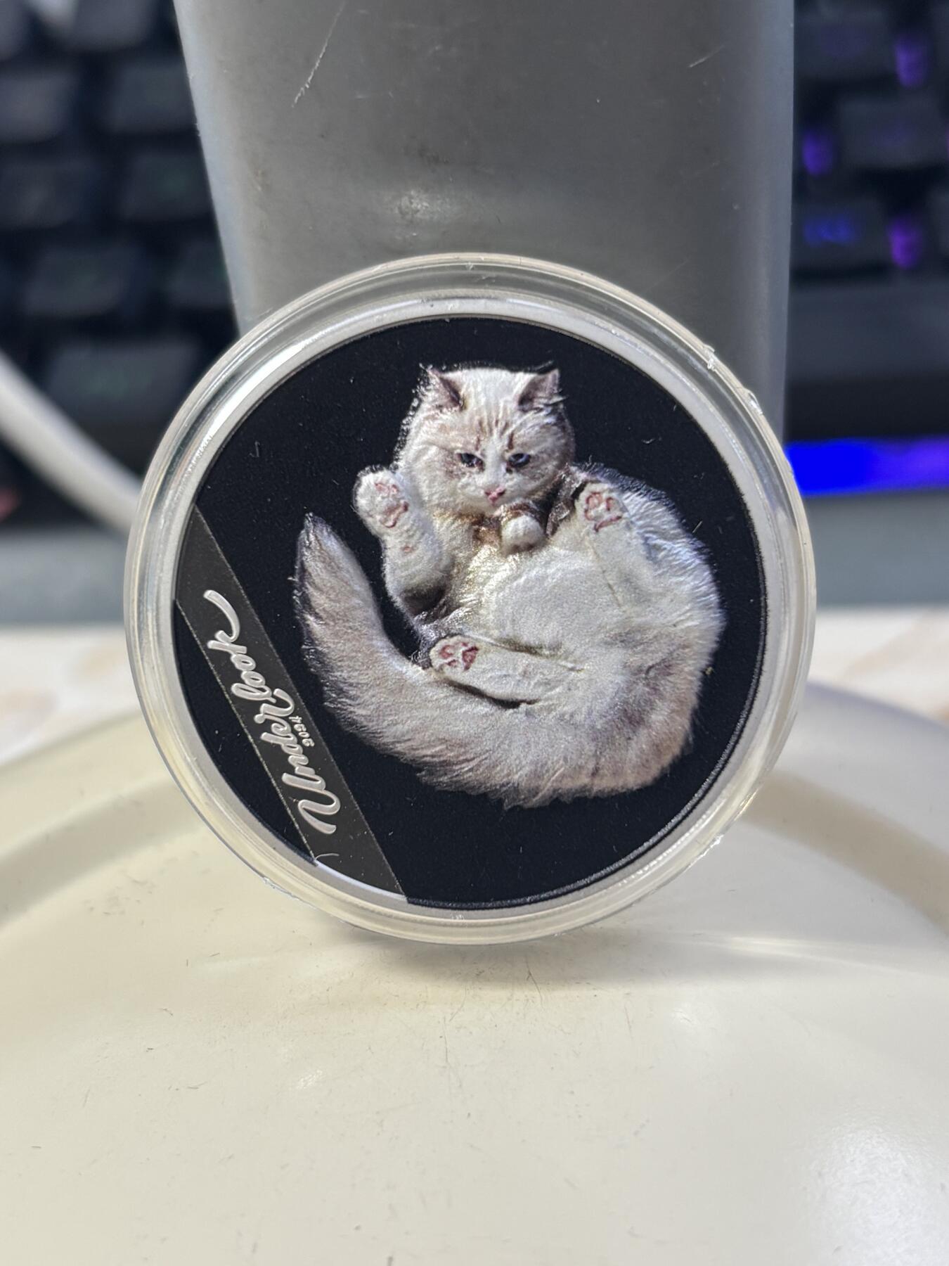 第182期拍卖 库克2024年俯视猫咪1盎司彩色纪念银币，9999银，发行999枚，没有纸套