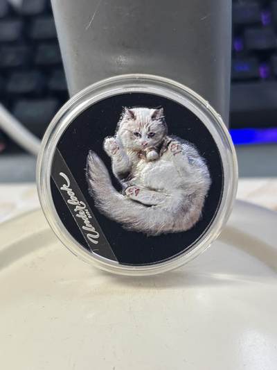 第182期拍卖 - 库克2024年俯视猫咪1盎司彩色纪念银币，9999银，发行999枚，没有纸套