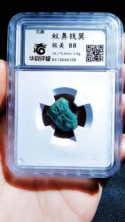 蚁鼻钱 - 蚁鼻钱