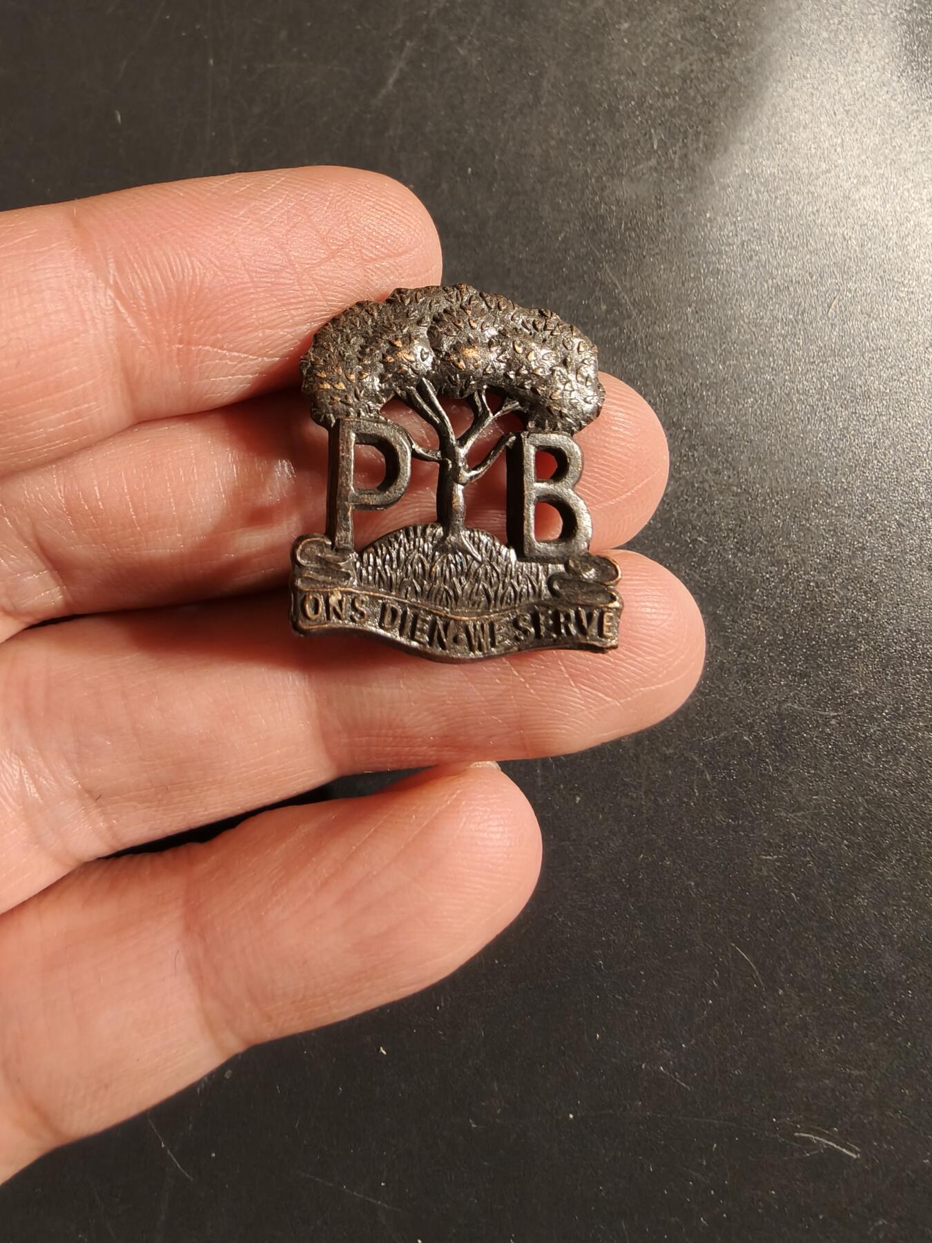 老王徽章第164期