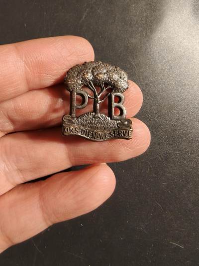 老王徽章第164期 -  英联邦南非先锋营领章    1934-1940版本