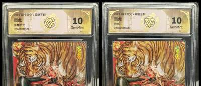 阳大大卡牌拍卖第83期（持续收拍品，周六晚上九点截拍，进群福利早知道） - 【折光+浮雕】焱卡文化 黑暗王朝 寅虎 折光+浮雕 2张737 