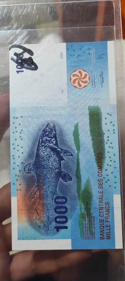 图南收藏 科摩罗