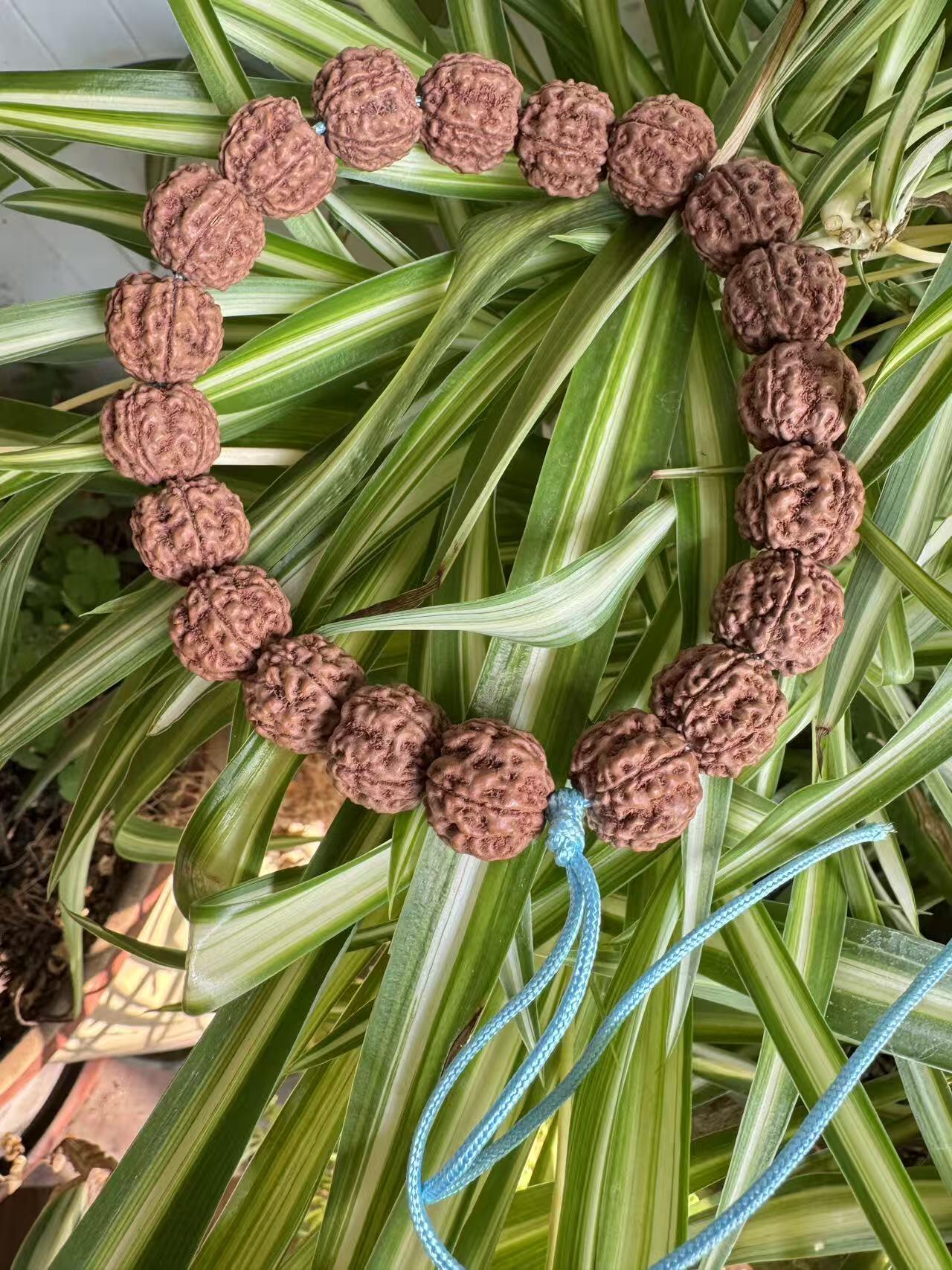 零元拍：红皮花王 原生态 金刚菩提 手持 16MM 爆肉爆红精品