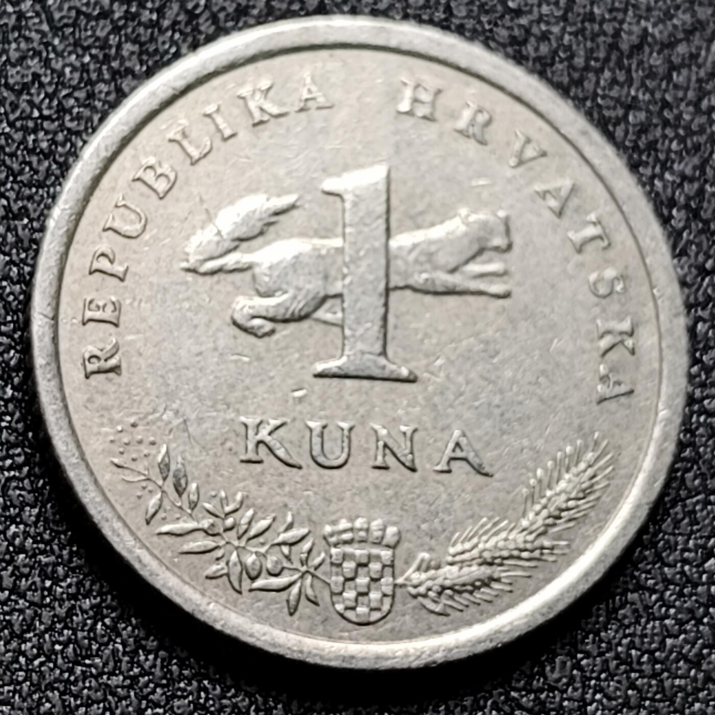 泉币菌-第133场-精品福利场 。