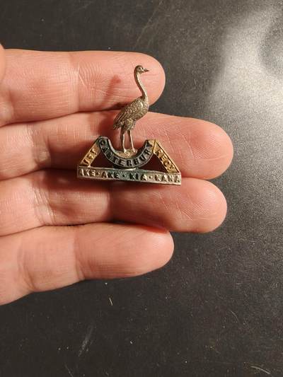 老王徽章第164期 - 英联邦新西兰坎特伯雷步兵团领章     一战时期