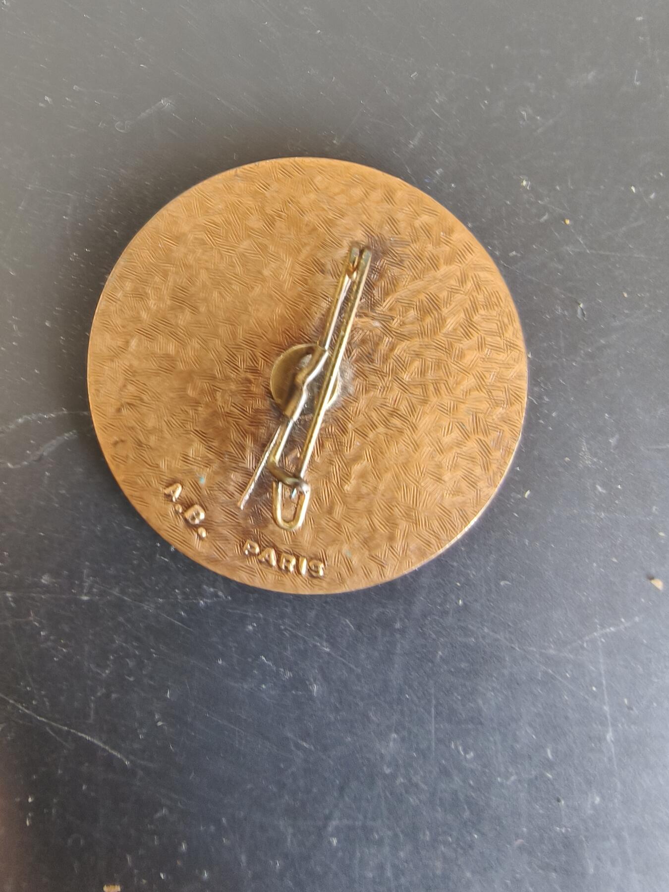 老王徽章第164期  法国高级安全摩托车驾驶学校证章