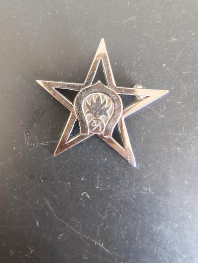 老王徽章第164期 -  法国外籍军团3团1连证章