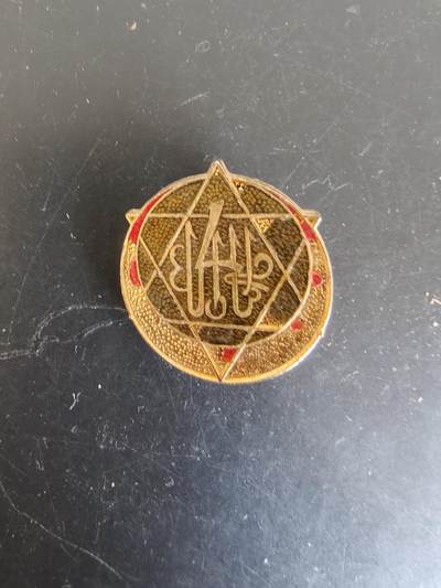 老王徽章第164期 -  突尼斯第4步枪团证章