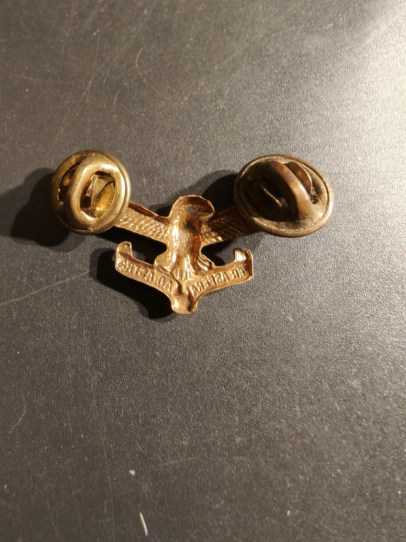 老王徽章第164期  南非空军领章