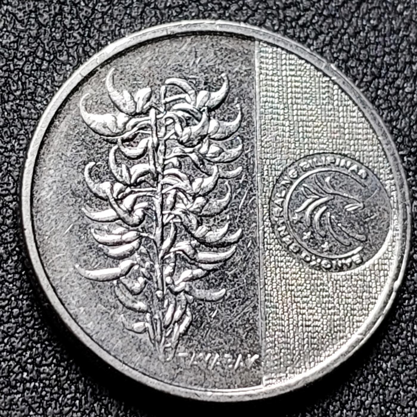 泉币菌-第133场-精品福利场 。