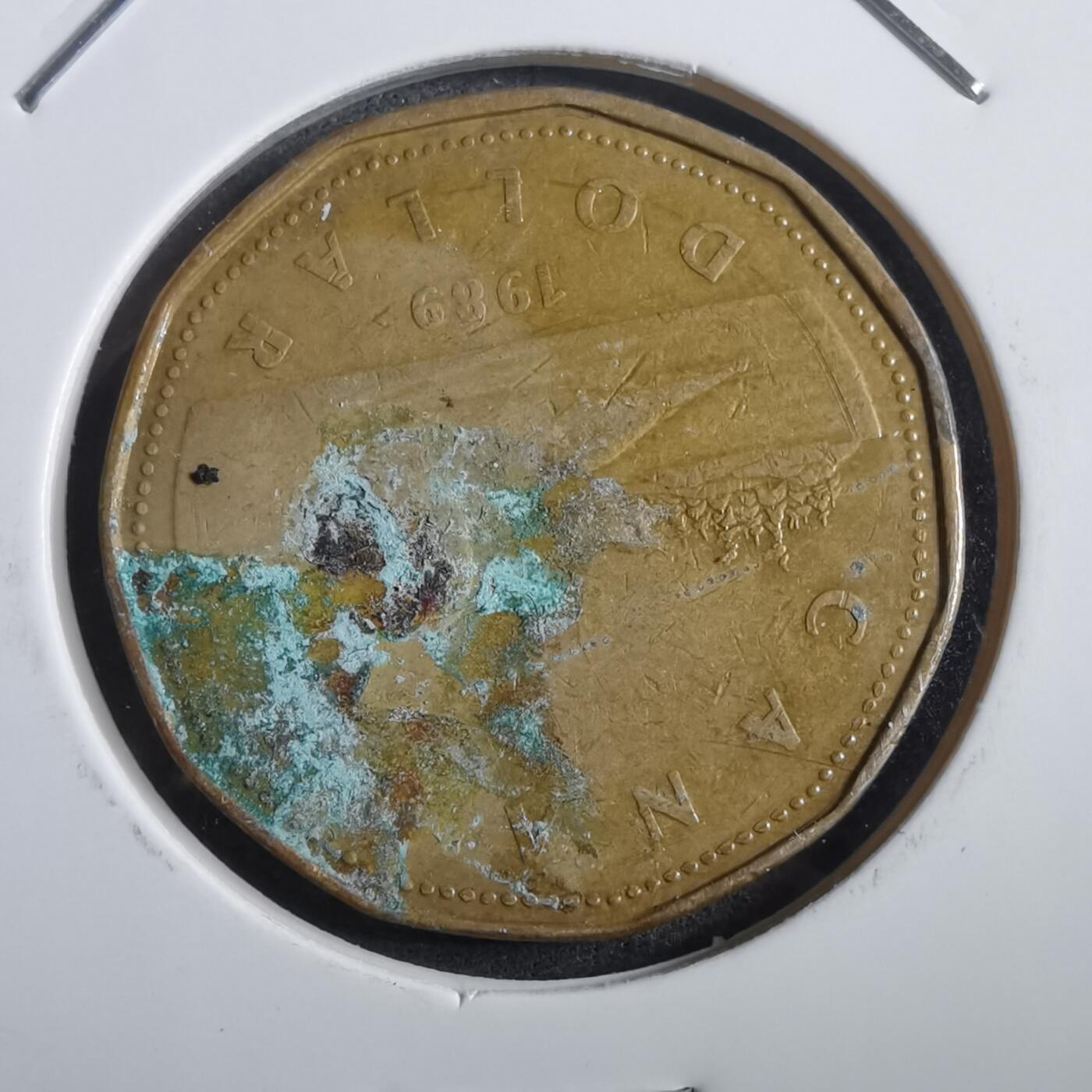 沼泽如烟--第908场 加拿大1989年一元