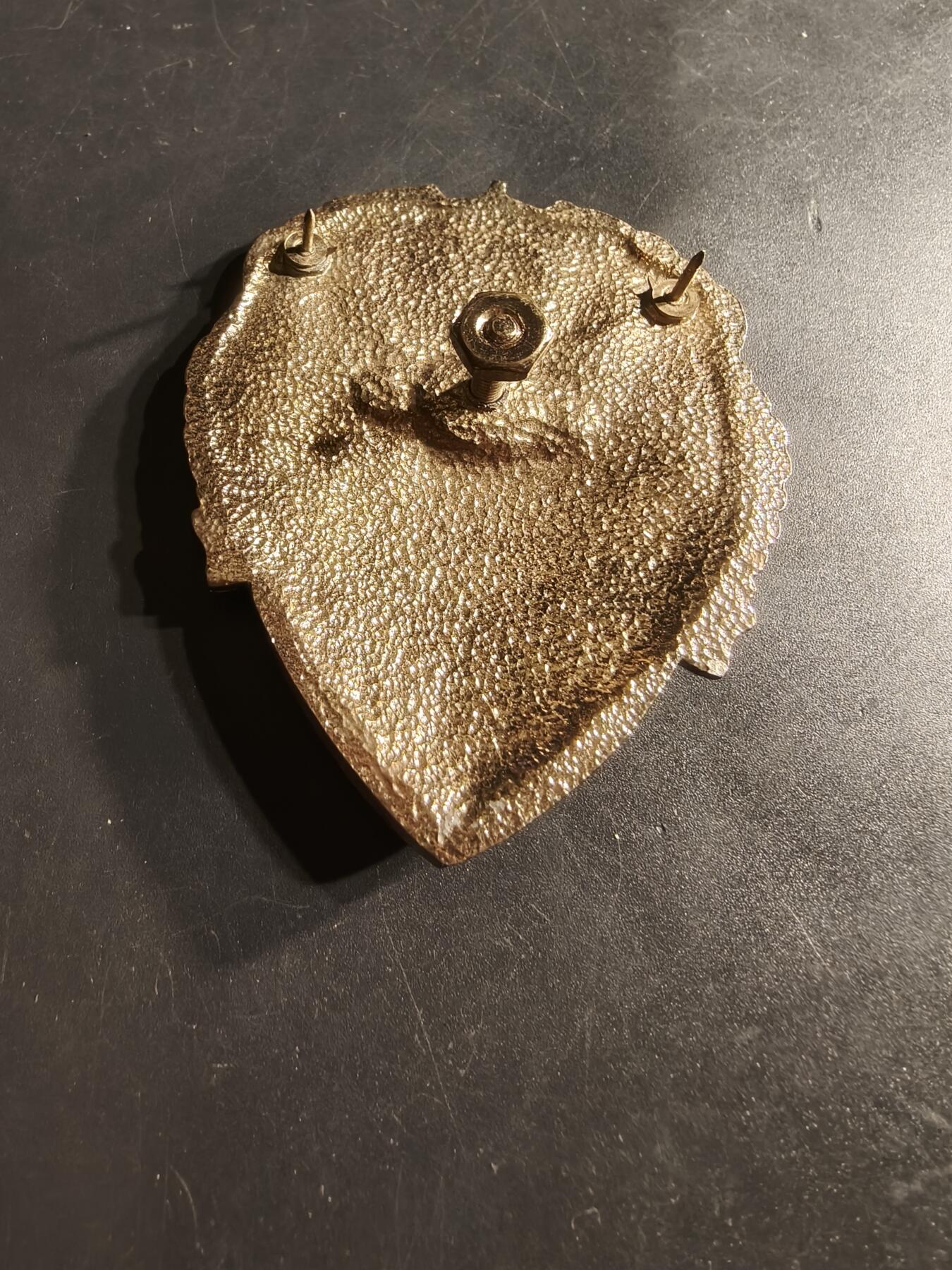 老王徽章第164期