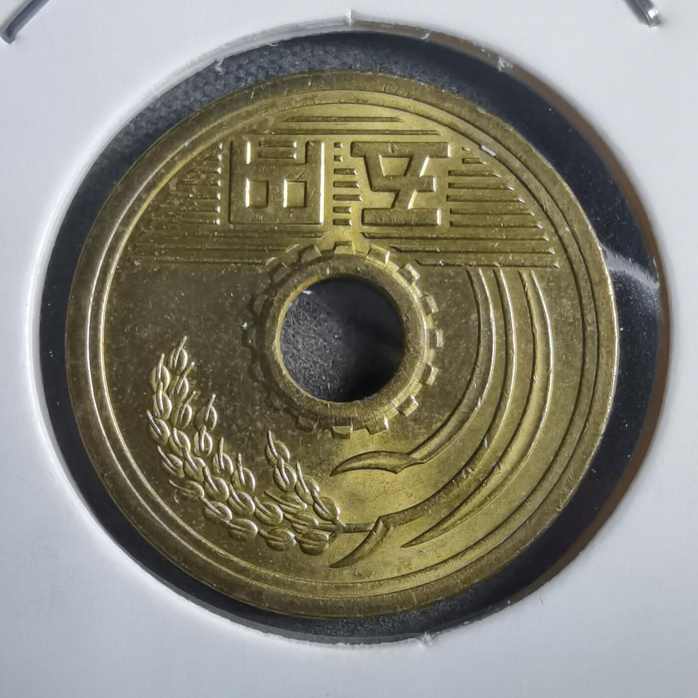 沼泽如烟--第908场 平成十六年五元