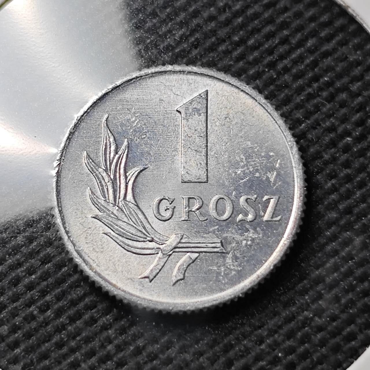 KK钱币收藏小铺  第374场  2月预留时间 周末发货  1949波兰1格罗申