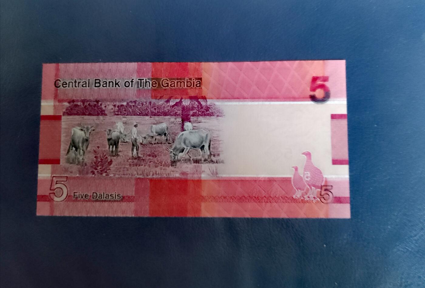 全新冈比亚2019年A冠5、10、20、50、100、200达拉西靓品纸币6枚一组