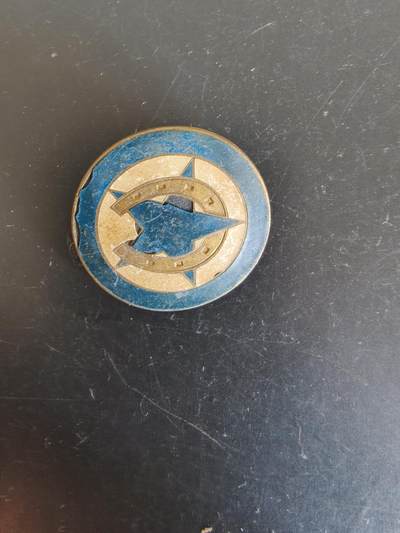 老王徽章第164期 -  法国外籍军团4团2连证章