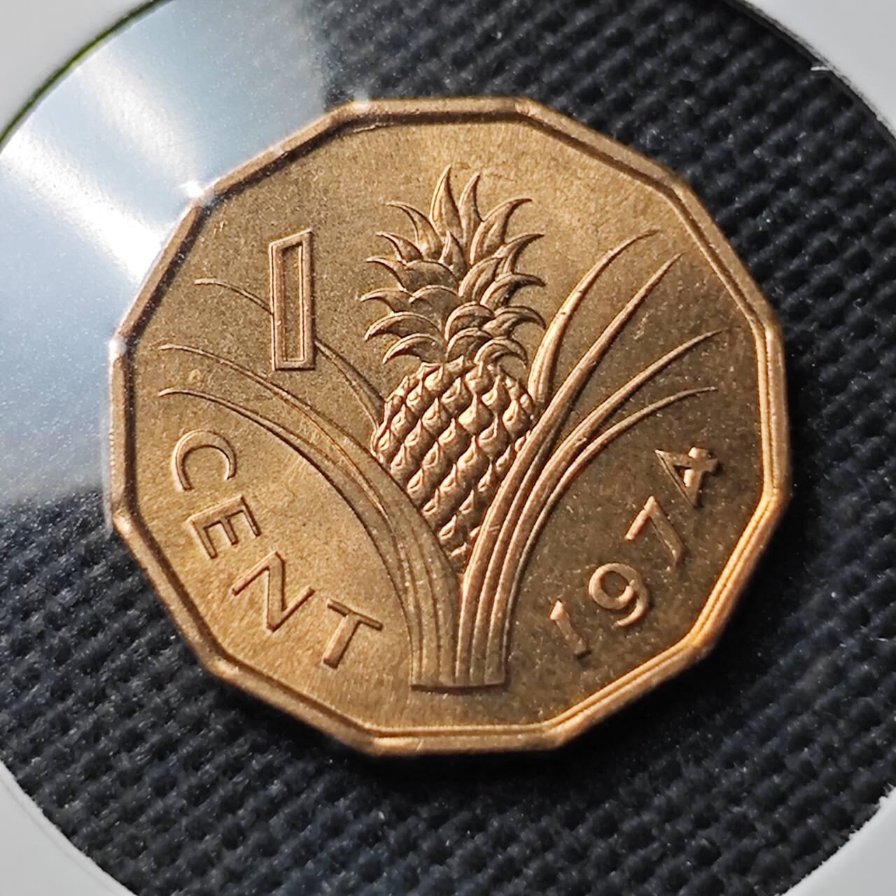 KK钱币收藏小铺  第374场  2月预留时间 周末发货  斯威士兰1分铜币