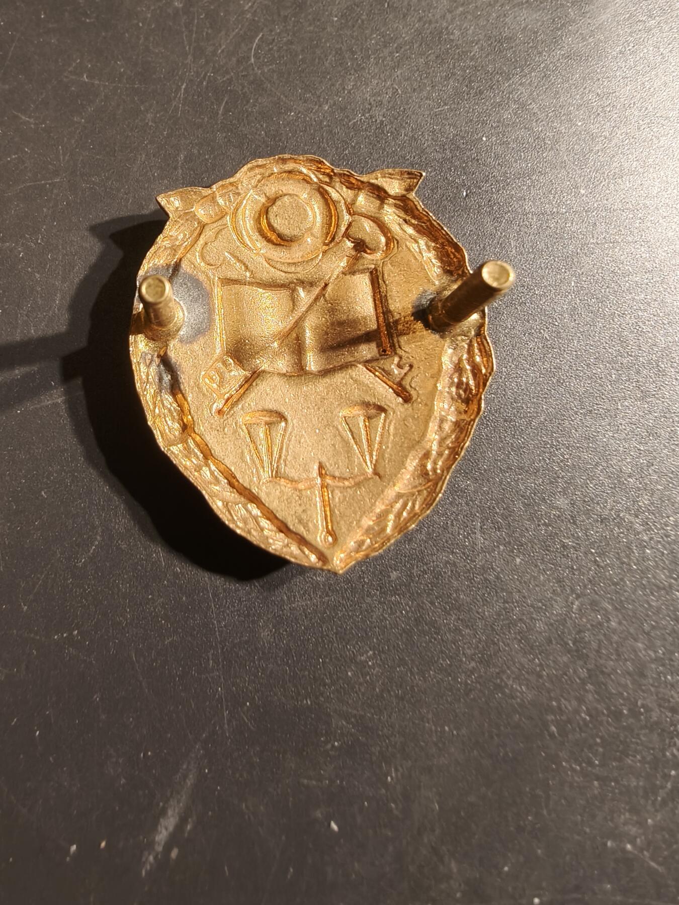 老王徽章第164期  南非惩教署帽徽