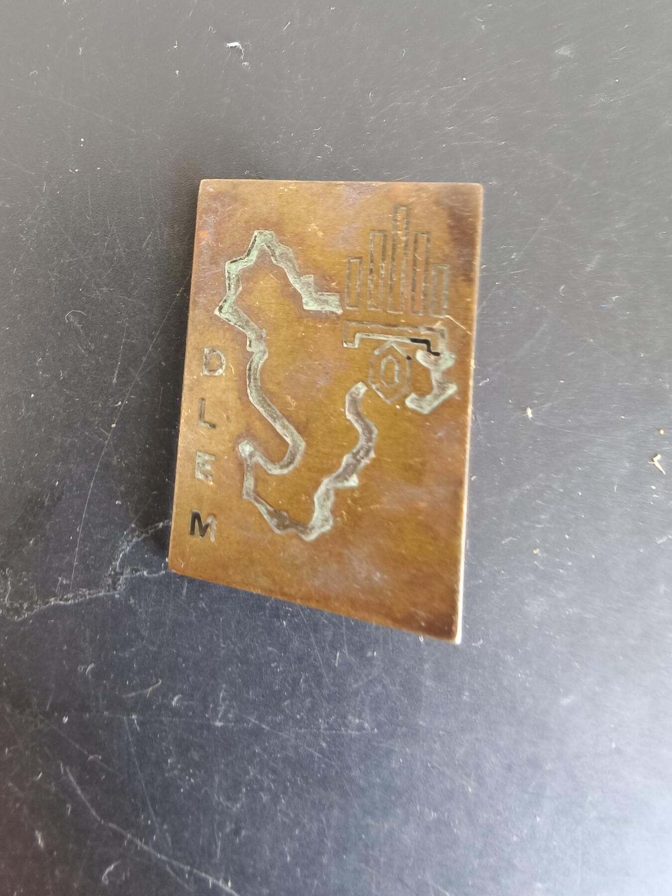 老王徽章第164期  法国外籍军团马约特岛特遣队证章 