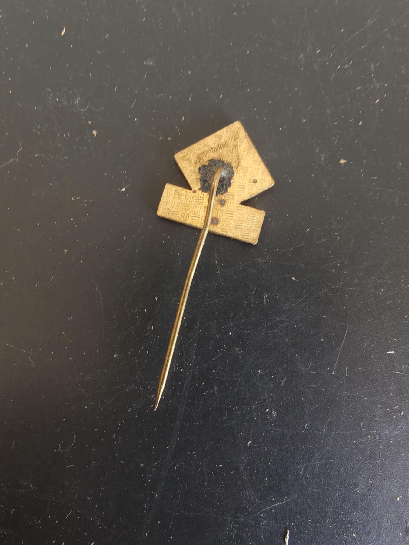 老王徽章第164期 波兰25周年针插 