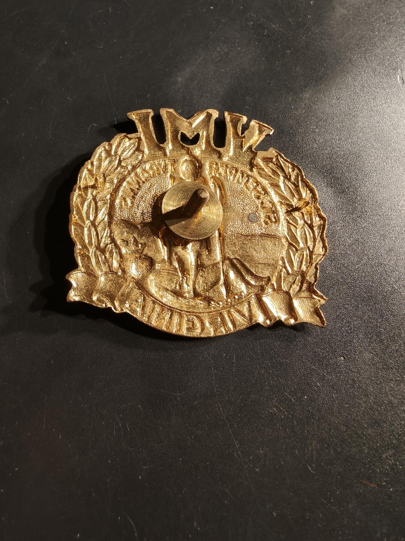 老王徽章第164期