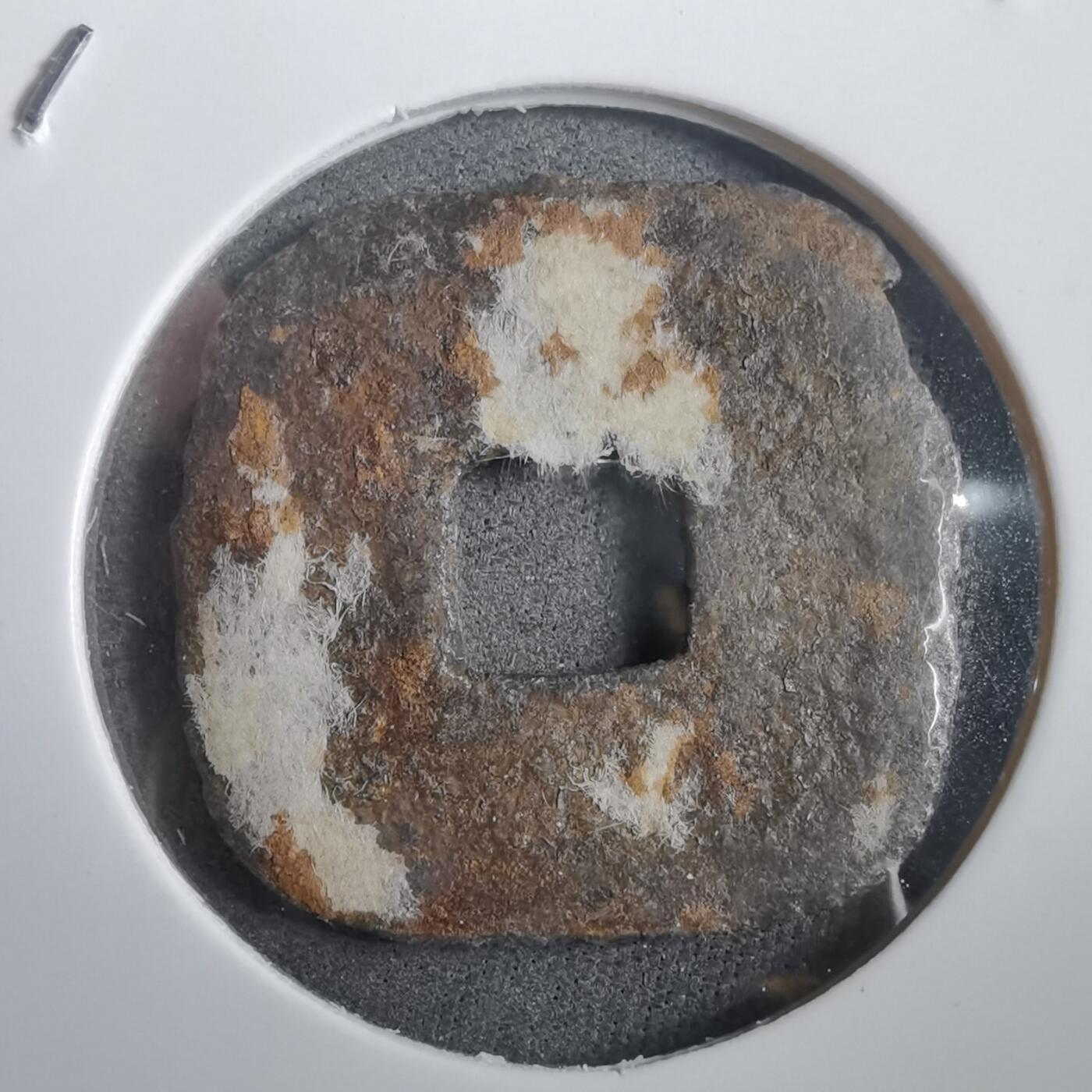 沼泽如烟--第908场 仙台通宝