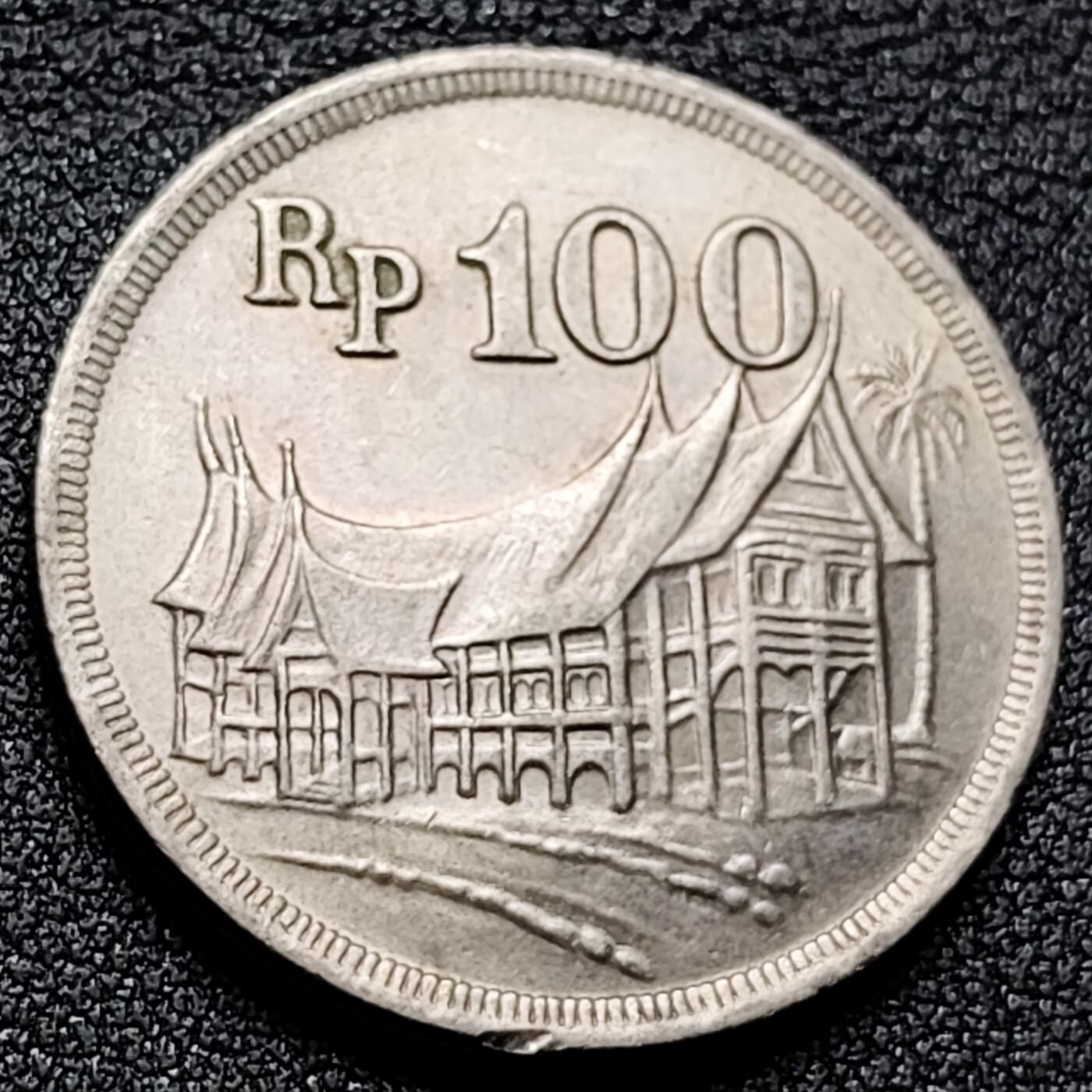 泉币菌-第133场-精品福利场 。