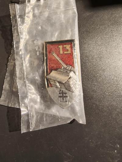 老王徽章第164期 -  法国第13工兵团证章 