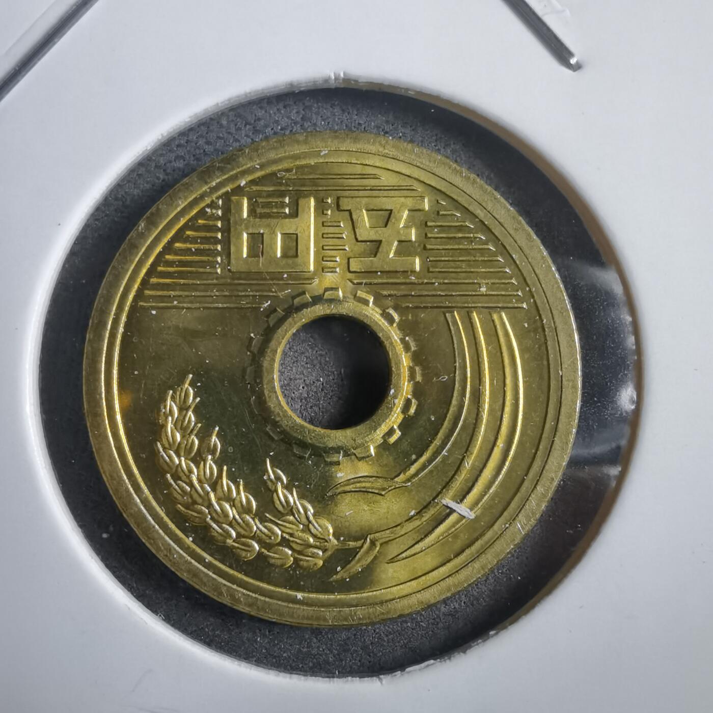 沼泽如烟--第908场 平成二十七年五元