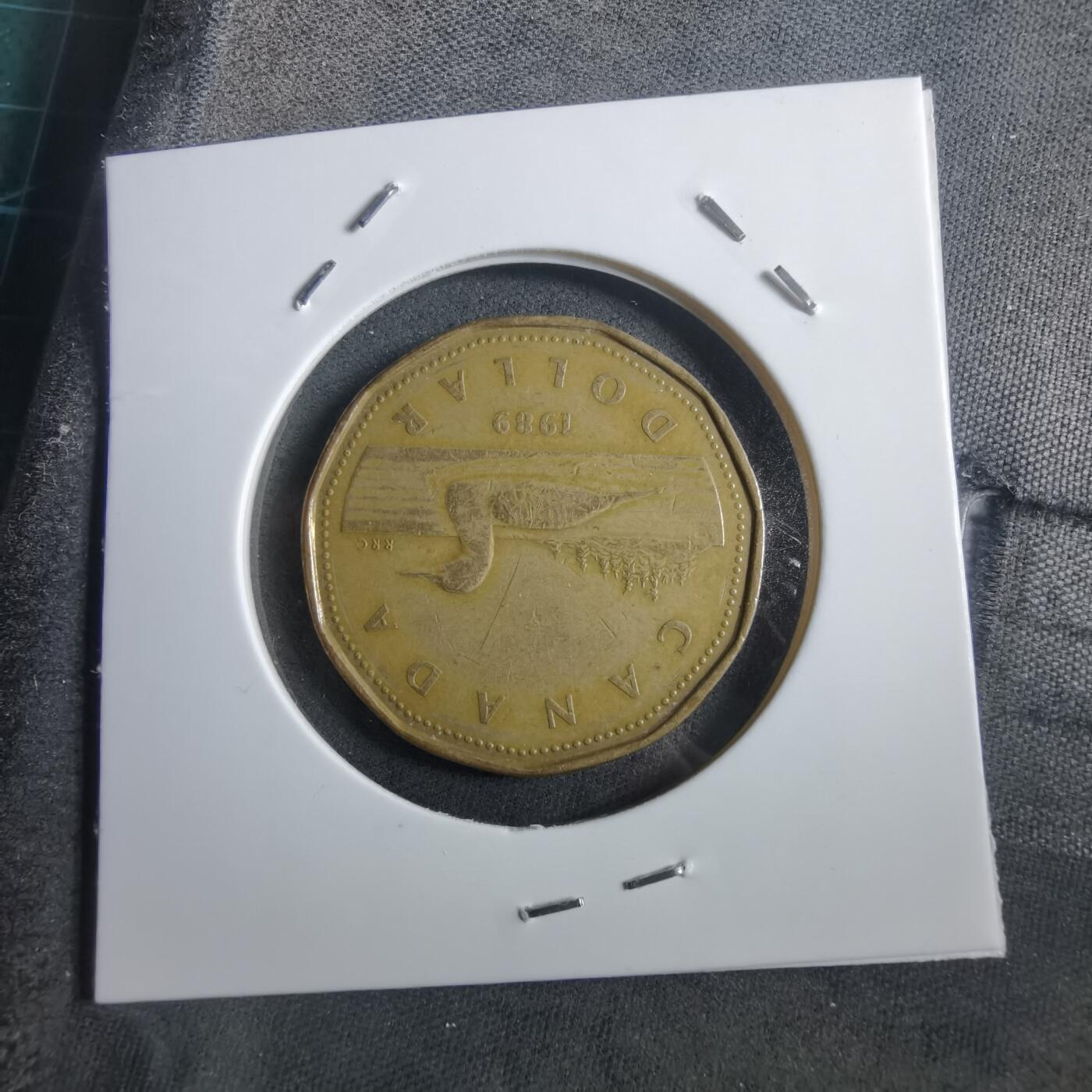 沼泽如烟--第908场 加拿大1989年一元