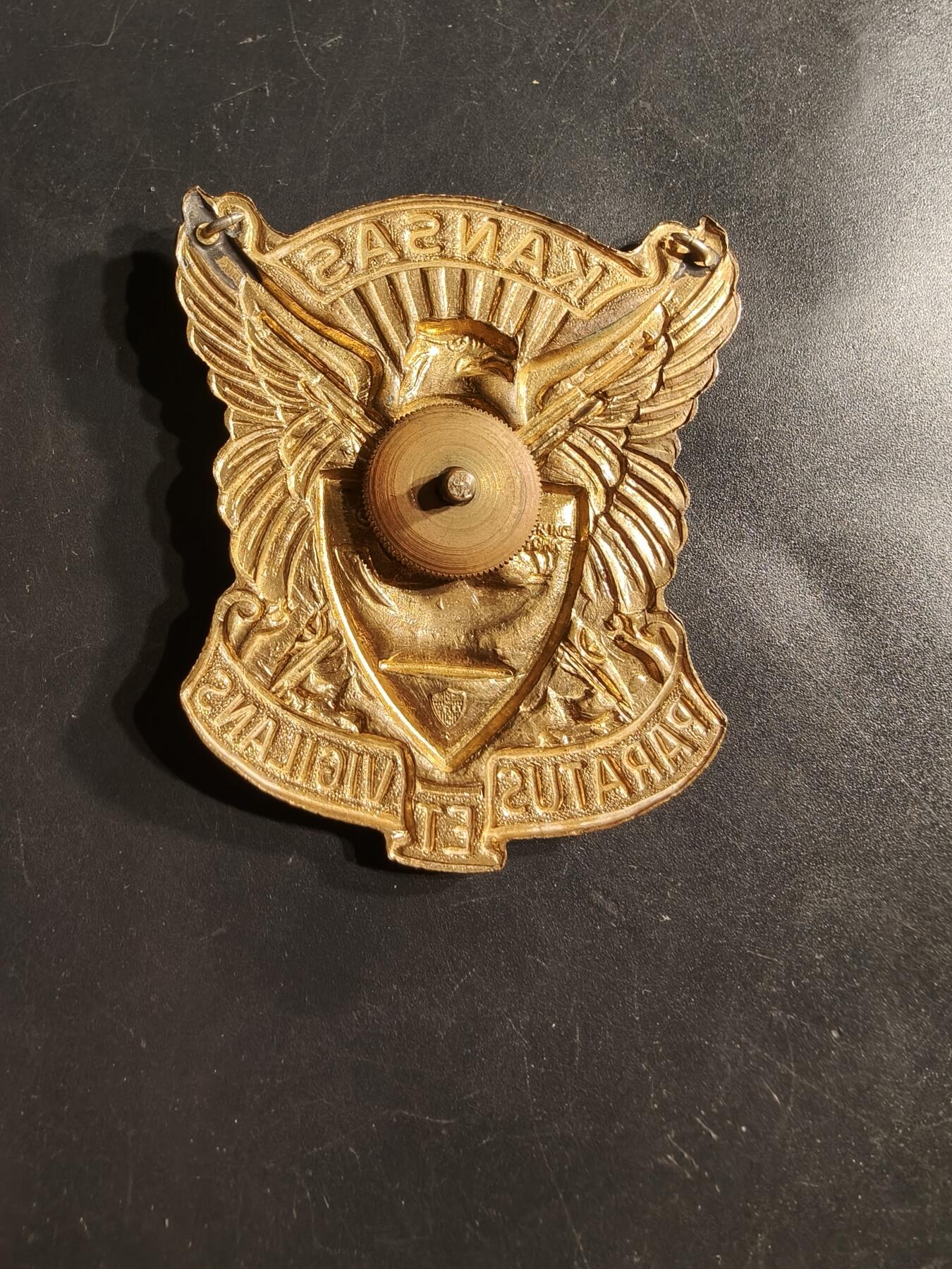 老王徽章第164期