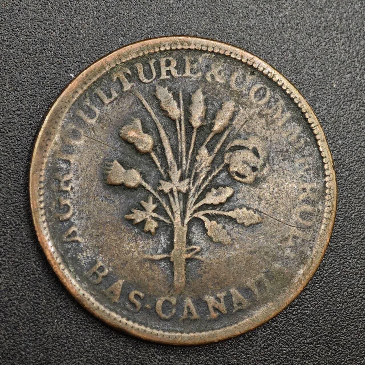 【淘币小摊】实时拍第八百零一拍   散币场   满百包邮可预留二周 每周一统一发货  