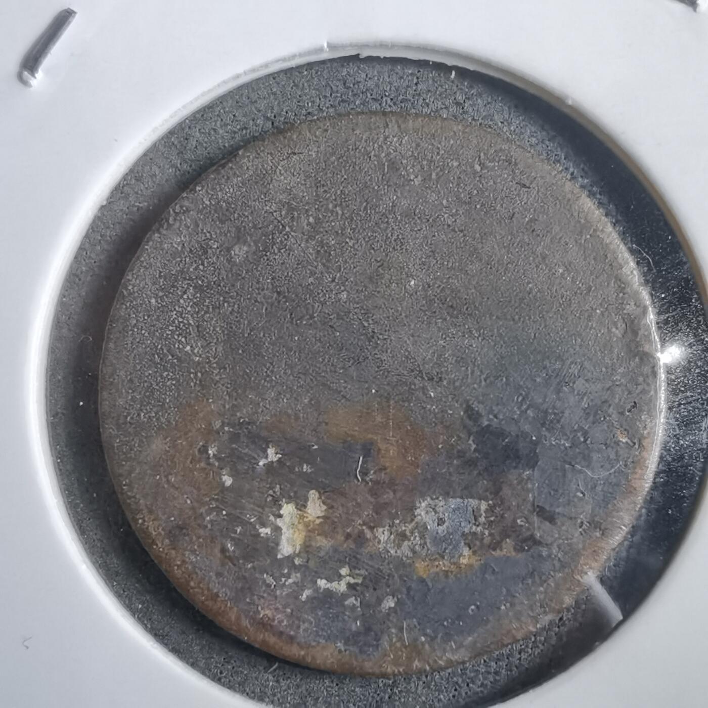 沼泽如烟--第908场