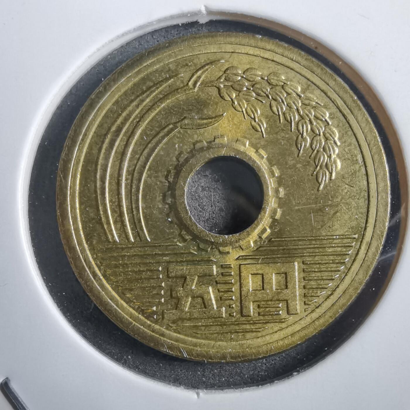 沼泽如烟--第908场 平成二十九年五元