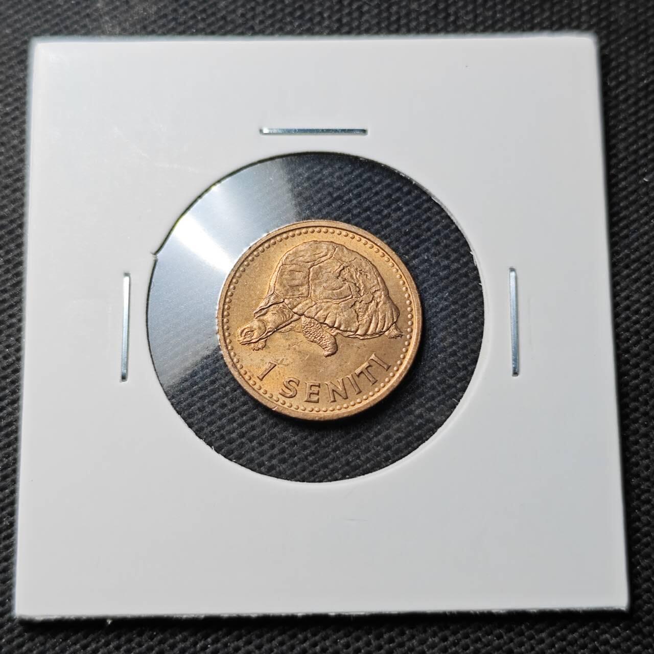 KK钱币收藏小铺  第374场  2月预留时间 周末发货  1967汤加1分铜币 好品