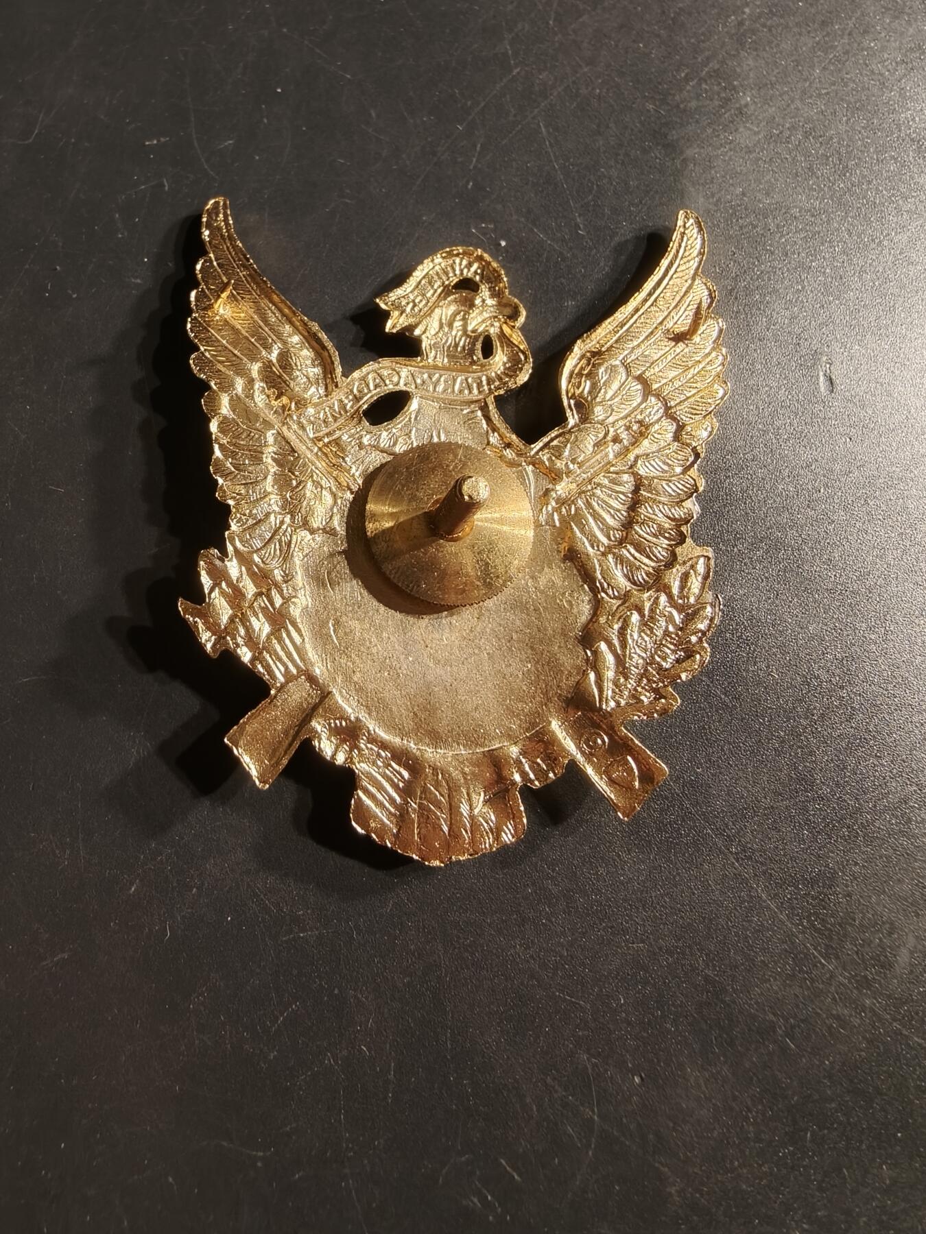 老王徽章第164期