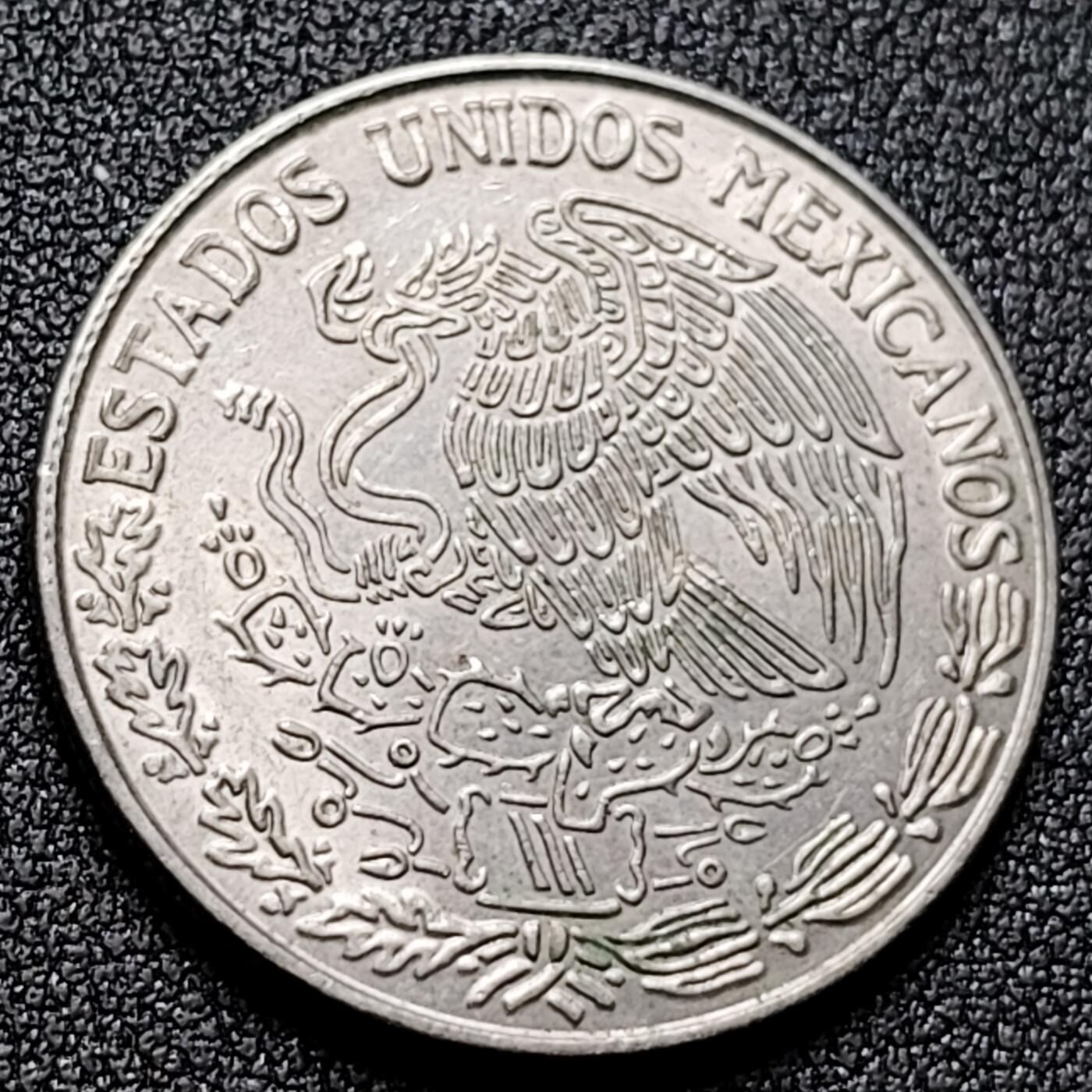 泉币菌-第133场-精品福利场 。