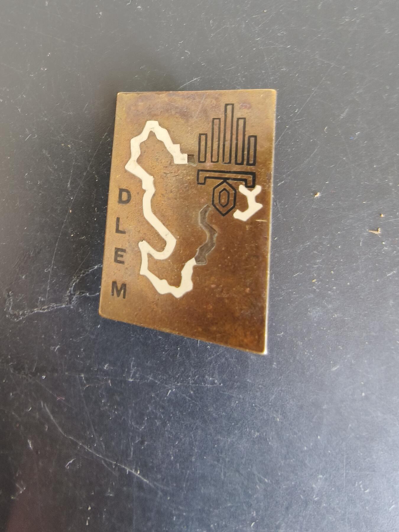 老王徽章第164期  法国外籍军团马约特岛特遣队证章 