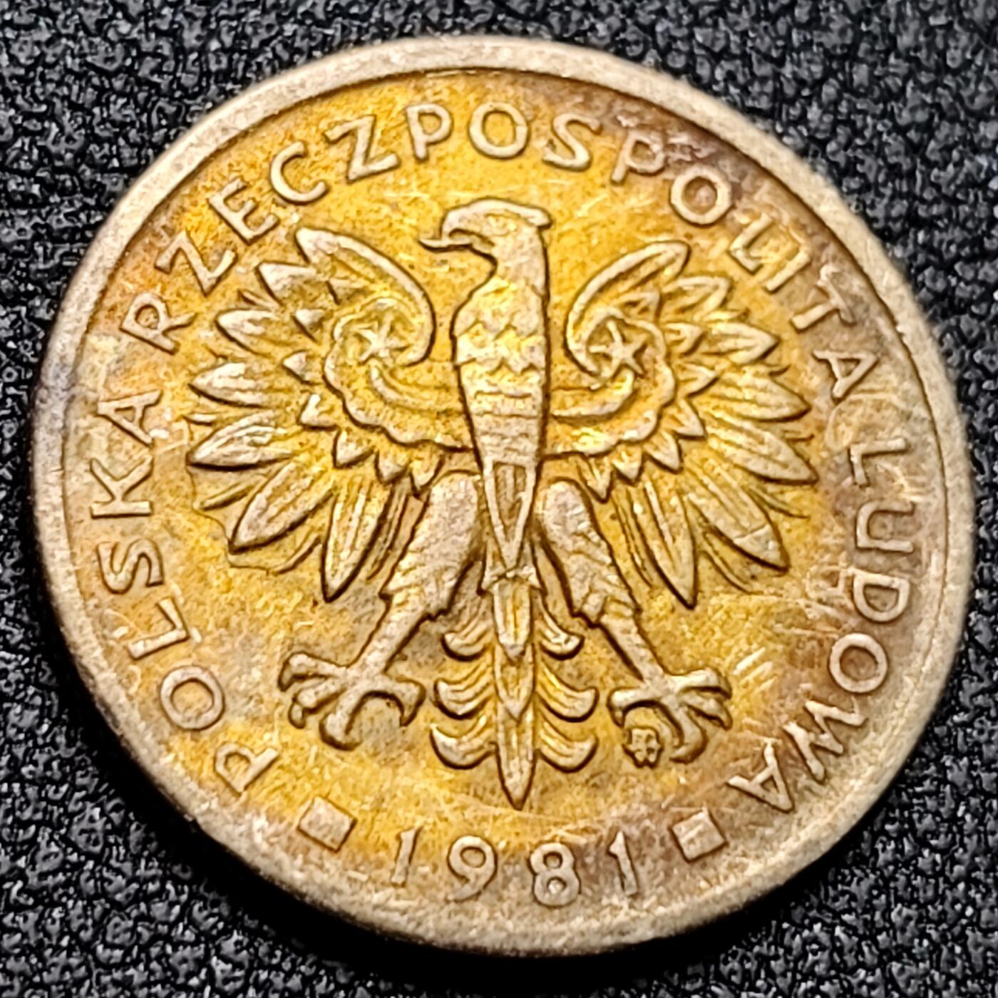 泉币菌-第133场-精品福利场 。