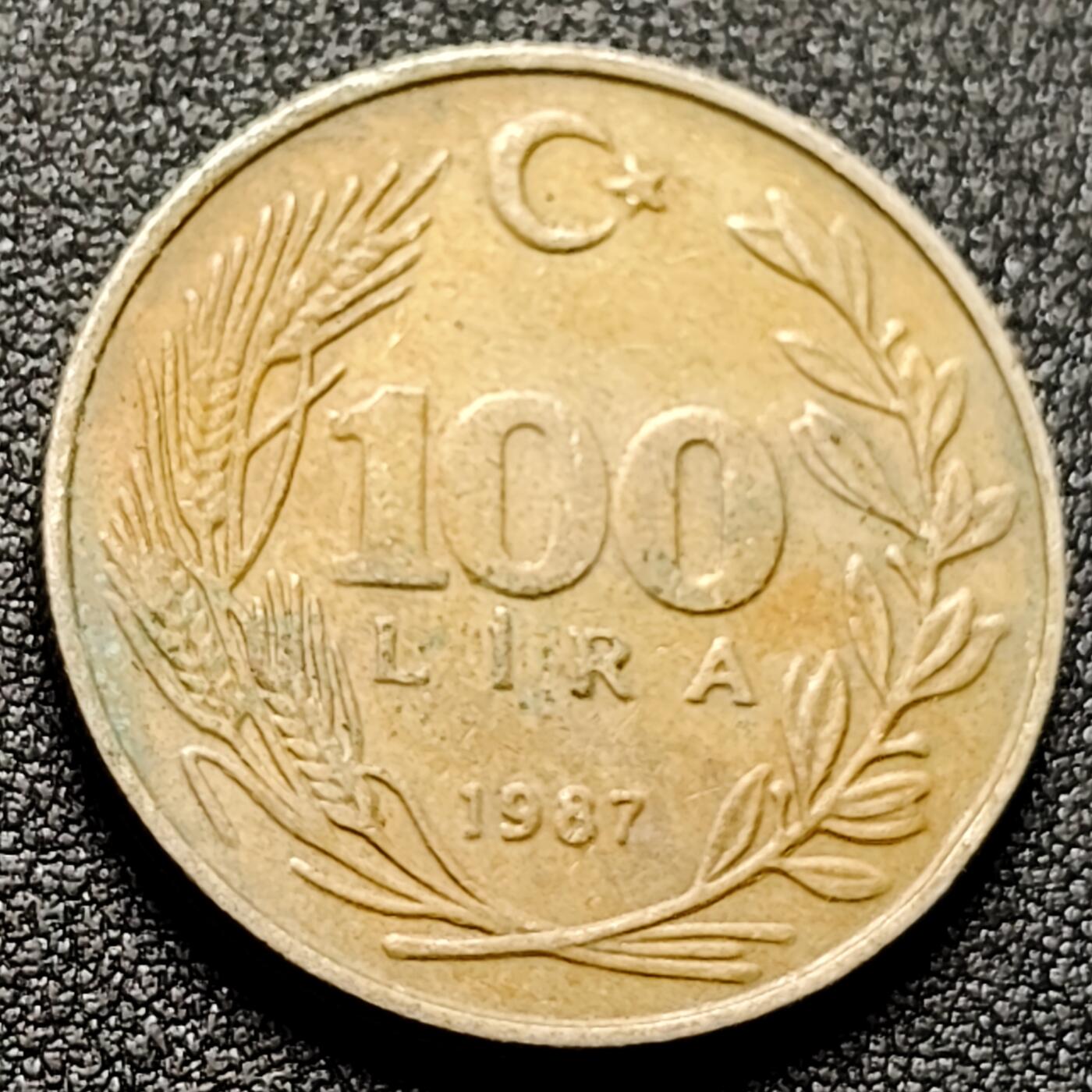 泉币菌-第133场-精品福利场 。