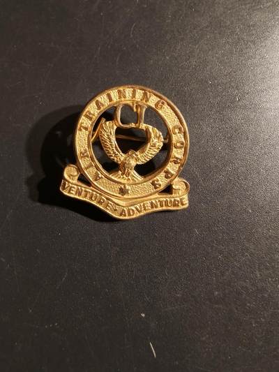 老王徽章第164期 -  英国皇家空军训练团领章    女王早期版