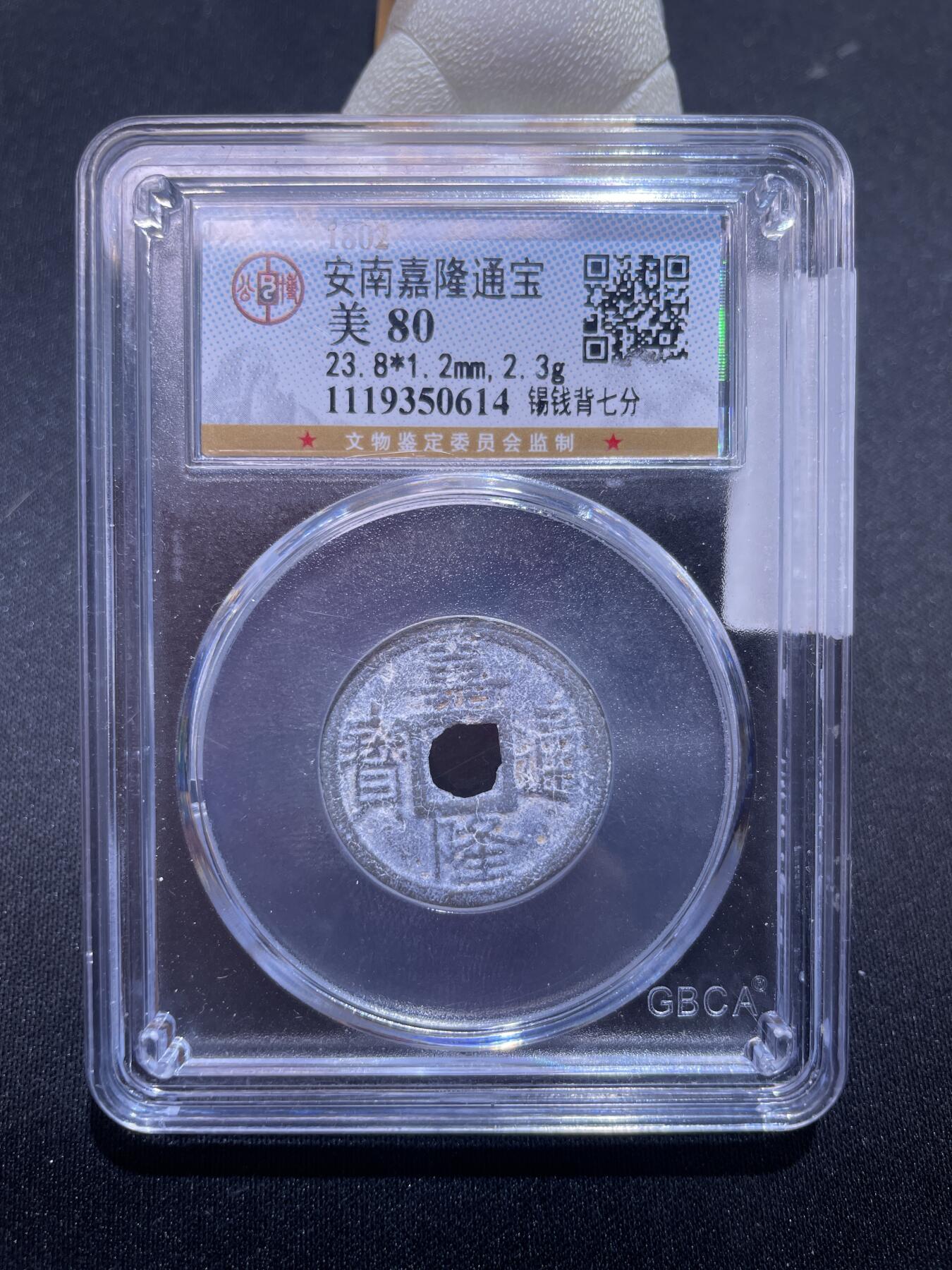 捡漏专场 安南嘉隆通宝